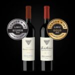 Meilleures régions viticoles du Vieux Continent — découvertes et vins d’exception