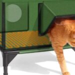 Best natural dog food for small breeds that supports health and happiness