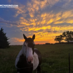 Storm Chasing Guide: Essential Tips for Safe, Successful Pursuits