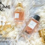 Best Website To Buy Perfumes In India | Perfumepalace.in