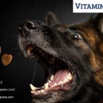 Bladder Support For Dogs | Vitaminpaws.com