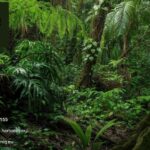 Weight Loss Supplements | Herbaniq.eu