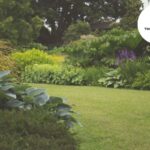 Garden clearance services in Bristol | Fast, eco-friendly