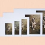 Hand Embossing Press: Precision for Cards, Certificates & Decor