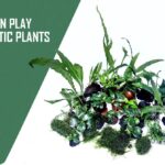 Discover the Best Aquarium Shop Online for Fish Tanks & Accessories