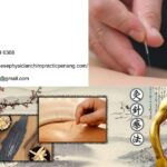 Best Acupuncture Clinic Penang | Tcmchinesephysicianchiropracticpenang.com