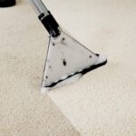 Flying Carpet: Transform Your Home with Expert Cleaning Today