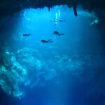 Cenote Cave Diving: A Hypnotic Underwater Adventure in Mexico