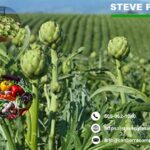 Farm and Ranch Tax Expert in Santa Maria Maximize Your Farm’s Tax Savings