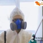 Mouse Removal Edmonton | Dragonpestcontrol.ca