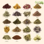 Ayurvedic Treatment for Vitiligo: Natural Pigmentation Support