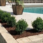 Swimming Pool Installation Cambridge ON | Transform Your Garden