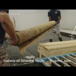 Rug Cleaning Wilmington NC — Keep Rugs Fresh and Colourful