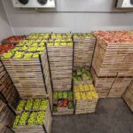 Trusted Okra Products Supplier for Bulk, Cleaned Graded Produce