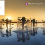 Business For Sale Singapore | Feyday.com