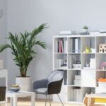 Emotional and Behavioral Assessments for Children’s Well-Being