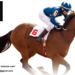 香港真人21點｜樂博星娛樂城專屬荷官現場發牌體驗