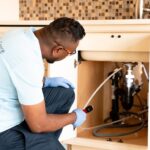 Ant Control Calgary: Gentle Yet Effective Solutions for Your Space