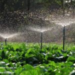 Irrigation Company In Dubai | Paradise-escape.ae