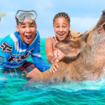 Atlantis Bahamas Excursions: Dive Into Tropical Adventure