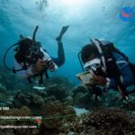 Diving Center Srilanka | Kalpitiyadivingcenter.com