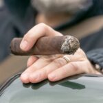A Quiet Evening with a Vintage Cigars Collection