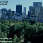 Internprissättningsdokumentation: Förstå behov och krav