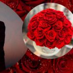 Forever Sunflower: Timeless Radiance for Your Space