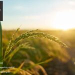 Psykoterapeut i Stockholm – stöd och samtal som gör skillnad