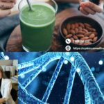 A Gentle Path: Holistic Hope Through Healing Practices