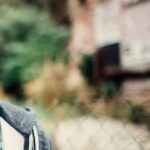 Trusted New Zealand study visa consultant – AIC Immigration