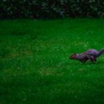 Garden Makeover in Bristol: Transform Your Outdoor Space