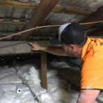 Pest Control Miami: Safe, Effective Solutions for Your Home