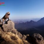 Explore Ethiopia Group Tours: Authentic, Safe & Memorable Adventures