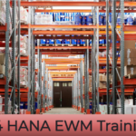 Mastering the Material Management Module in SAP