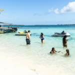 Bahamas Rose Island Tour: Snorkel, Swim with Calves & Beach Bliss