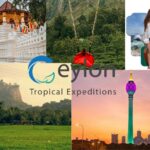 Sri Lanka Cultural Tourism: Immersive Heritage & Community Experiences