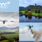 Creative and Respectful ideas for scattering ashes that honor a life