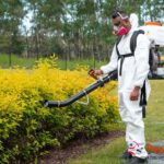 Bed Bug Exterminator: Safe, Effective Relief for Your Home