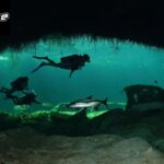 Diving Cenotes Tulum: Dive into Crystal Clear Wonders