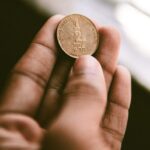 Rice Puller Coin For Sale – Genuine, Verified & Trusted