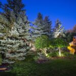 Backyard Lighting Ideas to Transform Your Outdoor Space