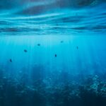 Dental Anxiety Management Solution – Calm, Confident dental visits