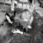 Mit Tieren sprechen lernen – Harmonie verstehen und kommunizieren