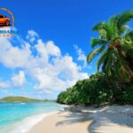 Rentals Car in Hawaii: Easy, Affordable Tours & Island Adventures