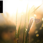 Parterapi Östermalm – återupplåta kärleken med proffshjälp