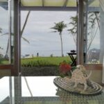 Resort Business for Sale Fiji: Turnkey Paradise Venture