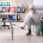 Calgary Flea Control: Safe, Effective Pest Solutions for Your Home