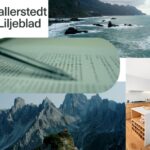 Internationell skatte- och internprissättning: optimera global lönsamhet