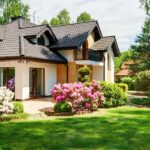 Effective weed control treatments in San Antonio for a healthier lawn